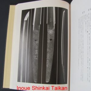 B119. Inoue Shinkai Taikan, by Nakajima