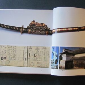 B353. Edo no Samurai Guzzo Korekushun