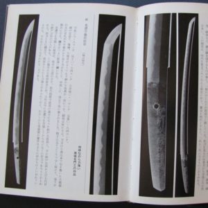 B832. Wakizashi Nyumon