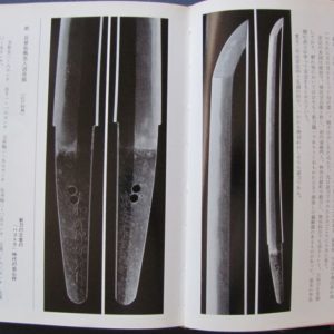 B832. Wakizashi Nyumon