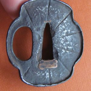 T411. Very Bony Iron Tanto Tsuba