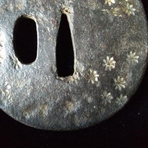 C313. Iron Tempo Tsuba